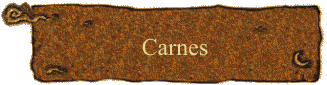 Carnes